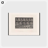 アートポストカード-The Thrower
 - エドワード マイブリッジ Postcard.