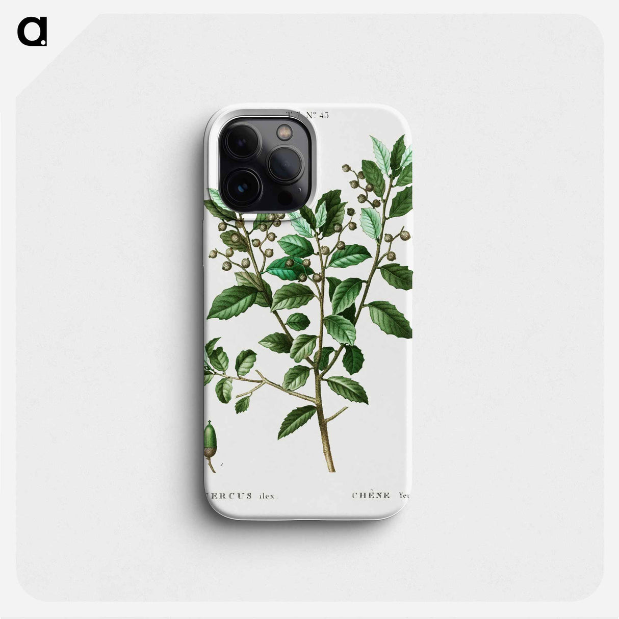 Evergreen oak - Pierre Joseph Redouté Phone Case.