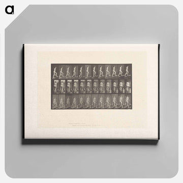 Ascending Nude
 - エドワード マイブリッジ Canvas.