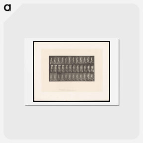 アートポストカード-Ascending Nude
 - エドワード マイブリッジ Postcard.