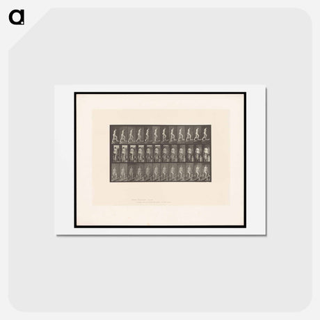 アートポストカード-Ascending Nude
 - エドワード マイブリッジ Postcard.