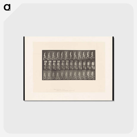 アートポストカード-Ascending Nude
 - エドワード マイブリッジ Postcard.