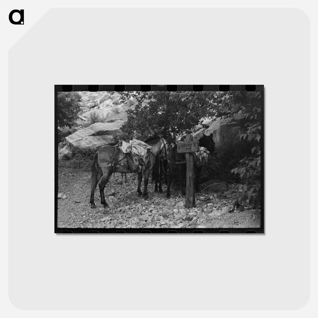 アートポストカード-Mule Train, Ouray, Colorado
 - ラッセル リー Postcard.