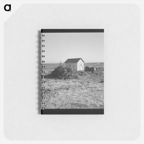 アートメモ帳-Untitled photo - ドロテア ラング Memo.