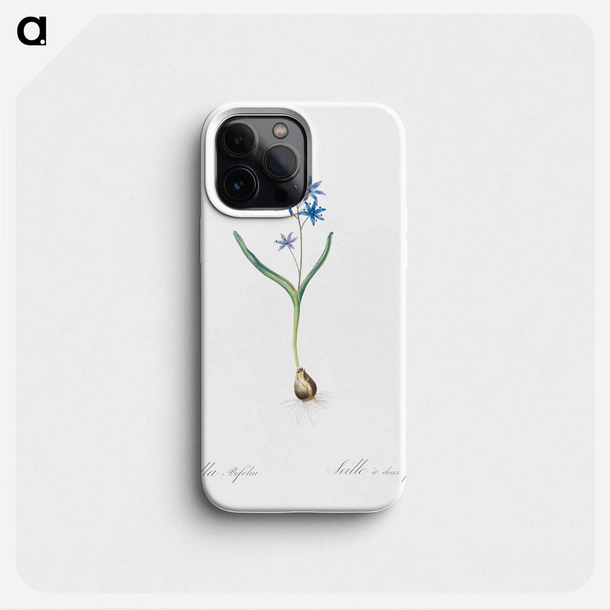 Alpine squill illustration - ピエール ジョゼフ ルドゥーテ Phone Case.
