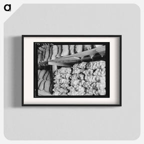 アートポスター-Fifty-pound bags of onions in storage shed, ready for market - ドロテア ラング Poster.