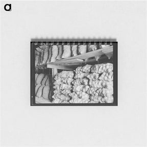 アートメモ帳-Fifty-pound bags of onions in storage shed, ready for market - ドロテア ラング Memo.