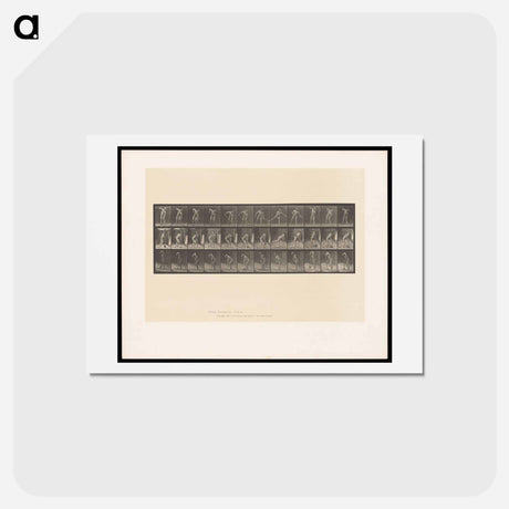 アートポストカード-Man Digging
 - エドワード マイブリッジ Postcard.