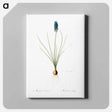 アートパネル-Grape hyacinth illustration - ピエール ジョゼフ ルドゥーテ Canvas.