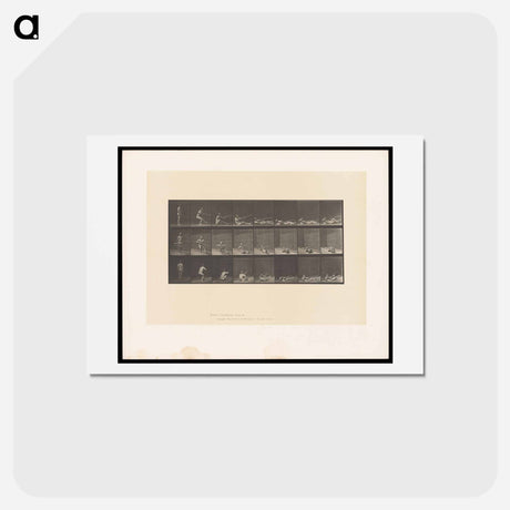 アートポストカード-Falling Man with Rifle
 - エドワード マイブリッジ Postcard.