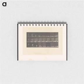 アートメモ帳-Falling Man with Rifle
 - エドワード マイブリッジ Memo.