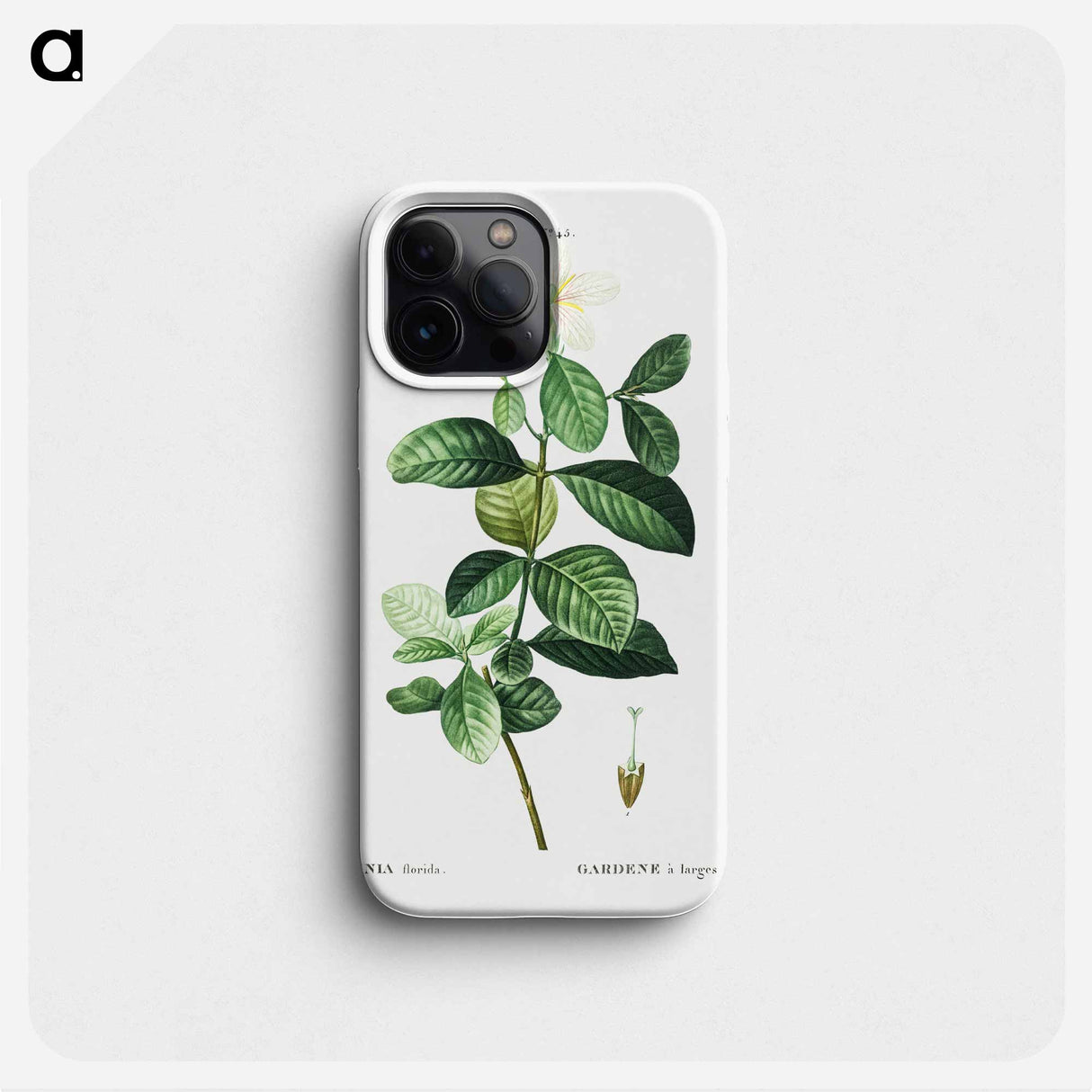 Gardenia - ピエール ジョゼフ ルドゥーテ Phone Case.