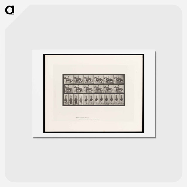 アートポストカード-Man on Horse
 - エドワード マイブリッジ Postcard.
