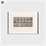 アートポストカード-Man on Horse
 - エドワード マイブリッジ Postcard.