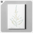 アートパネル-Sea asparagus illustration - ピエール ジョゼフ ルドゥーテ Canvas.
