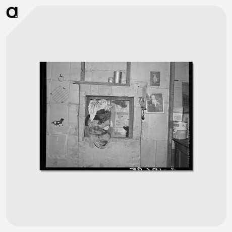 アートポストカード-Stuffed Window
 - ラッセル リー Postcard.