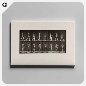 アートパネル-Naked Man Walking
 - エドワード マイブリッジ Canvas.