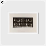 アートポストカード-Naked Man Walking
 - エドワード マイブリッジ Postcard.