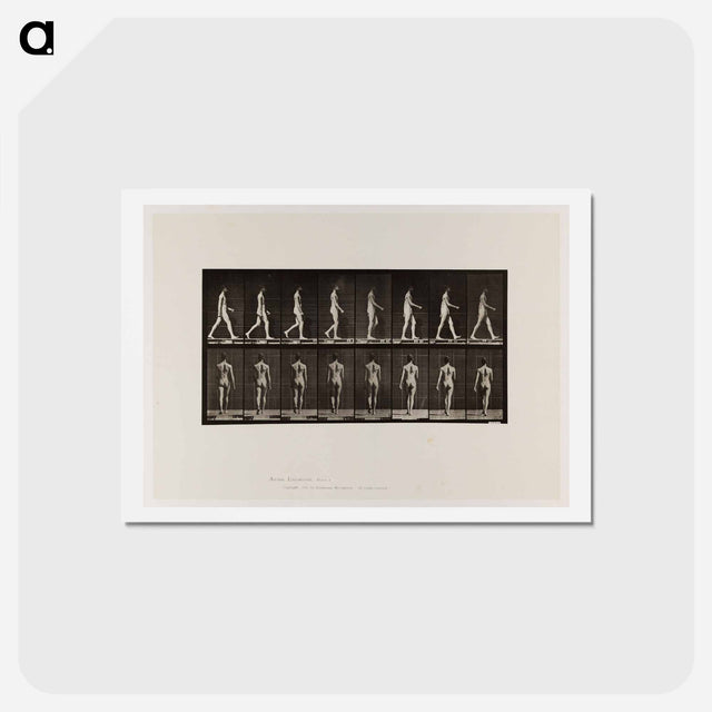 アートポストカード-Naked Man Walking
 - エドワード マイブリッジ Postcard.