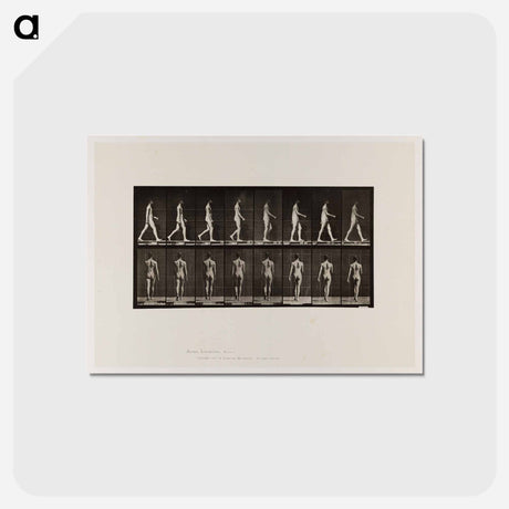 アートポストカード-Naked Man Walking
 - エドワード マイブリッジ Postcard.