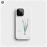 Ixia filiformis - Pierre Joseph Redouté Phone Case.