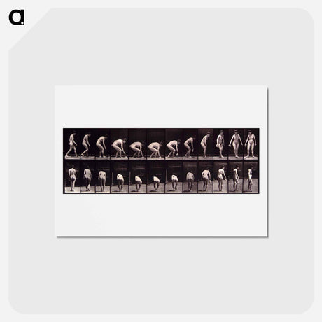 アートポストカード-Woman with Cloth
 - エドワード マイブリッジ Postcard.