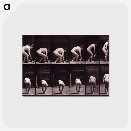 アートポストカード-Woman with Cloth
 - エドワード マイブリッジ Postcard.