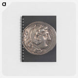 アートメモ帳-Head of Herakles
 - セントルイス美術館 Memo.