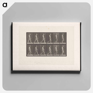 Man Walking
 - エドワード マイブリッジ Canvas.