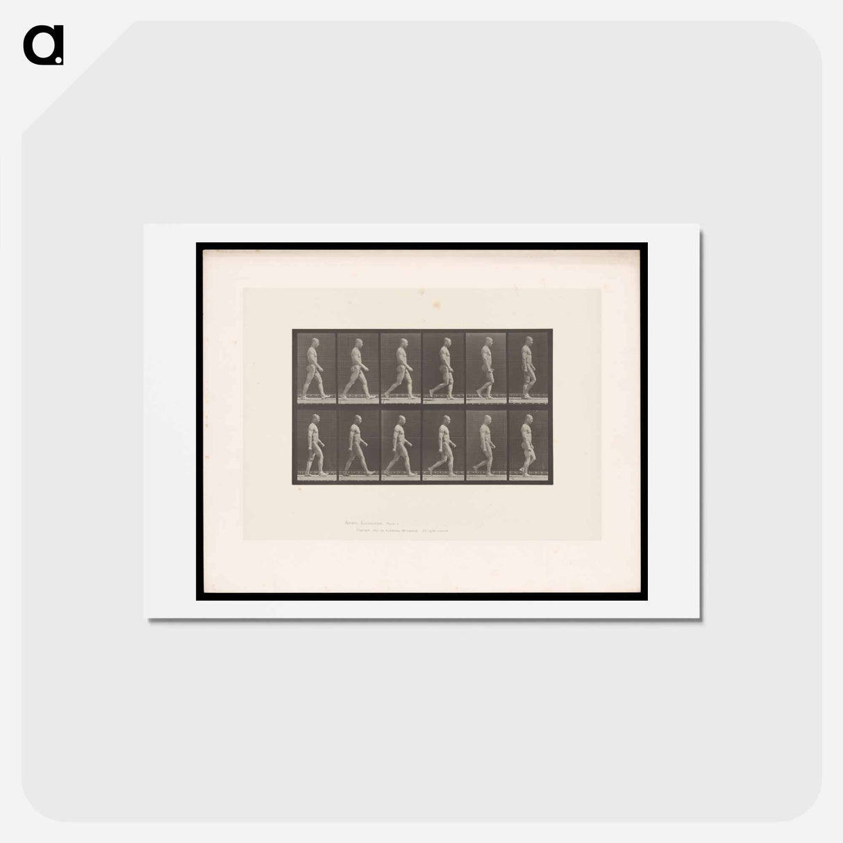 アートポストカード-Man Walking
 - エドワード マイブリッジ Postcard.