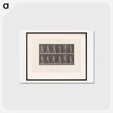 アートポストカード-Man Walking
 - エドワード マイブリッジ Postcard.