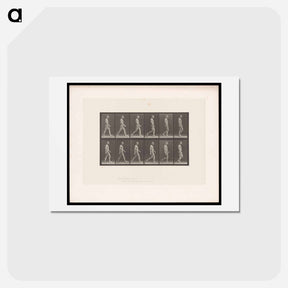 アートポストカード-Man Walking
 - エドワード マイブリッジ Postcard.