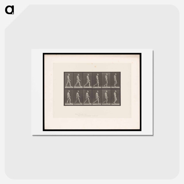 アートポストカード-Man Walking
 - エドワード マイブリッジ Postcard.