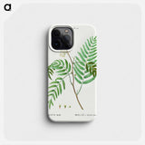 Peruvian pepper (Schinus molle) - ピエール ジョゼフ ルドゥーテ Phone Case.