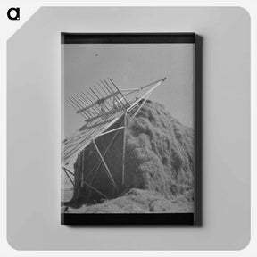 アートパネル-Hay Barn, Lake Dick Project
 - ラッセル リー Canvas.