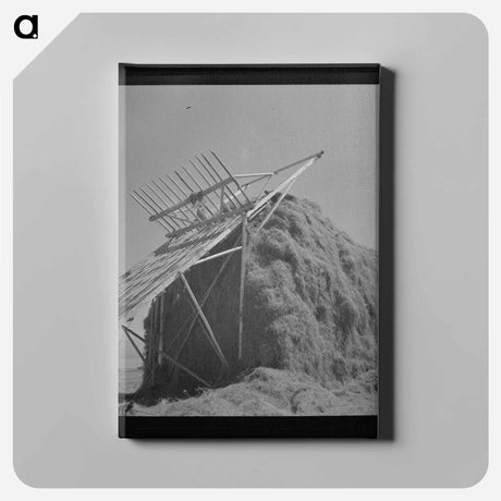 アートパネル-Hay Barn, Lake Dick Project
 - ラッセル リー Canvas.