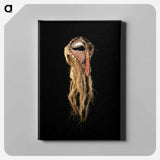 アートパネル-Mask rom heb’ror’r’
 - セントルイス美術館 Canvas.