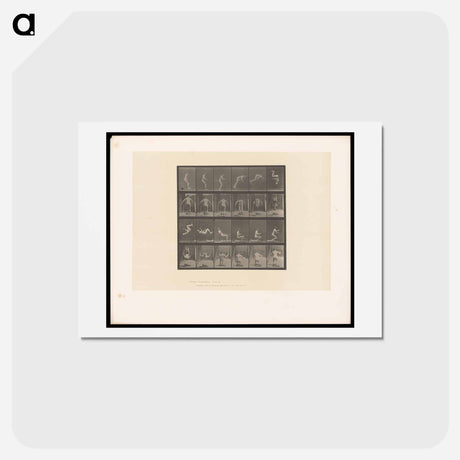 アートポストカード-Flying Somersault
 - エドワード マイブリッジ Postcard.