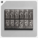 アートパネル-Batter
 - エドワード マイブリッジ Canvas.