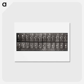 アートポストカード-Batter
 - エドワード マイブリッジ Postcard.