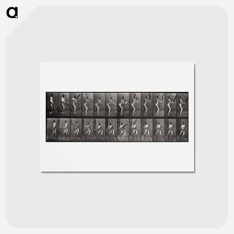 アートポストカード-Batter
 - エドワード マイブリッジ Postcard.