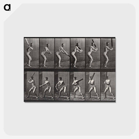 アートポストカード-Batter
 - エドワード マイブリッジ Postcard.