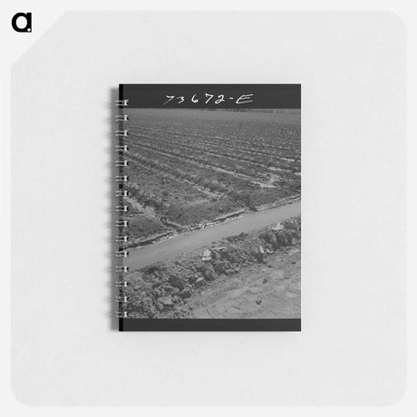 アートメモ帳-Dairy Cow, Casa Grande Valley Farms
 - ラッセル リー Memo.