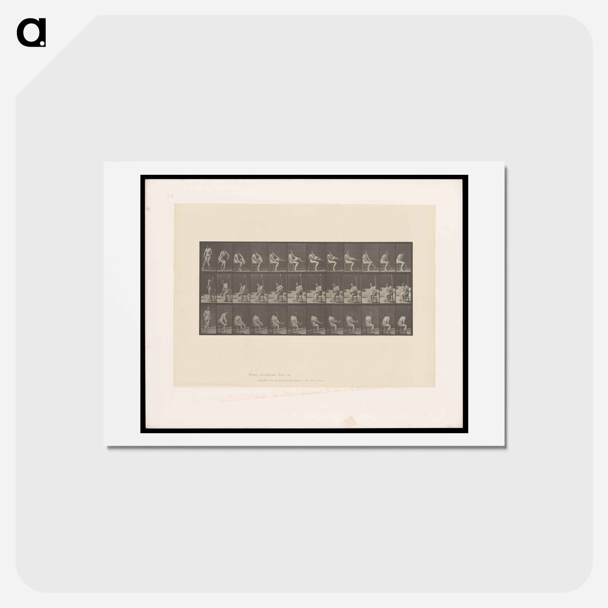 アートポストカード-Woman Putting on Stocking
 - エドワード マイブリッジ Postcard.