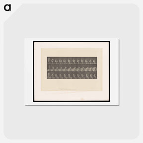 アートポストカード-Woman Putting on Stocking
 - エドワード マイブリッジ Postcard.