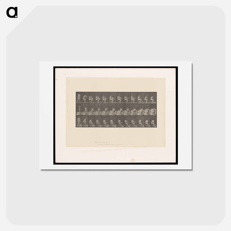 アートポストカード-Woman Putting on Stocking
 - エドワード マイブリッジ Postcard.