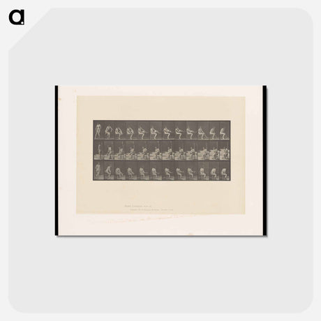 アートポストカード-Woman Putting on Stocking
 - エドワード マイブリッジ Postcard.