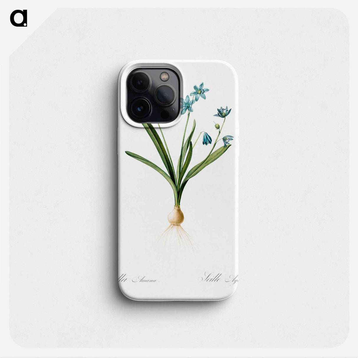 Scilla amoena illustration - Pierre Joseph Redouté Phone Case.