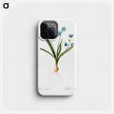 Scilla amoena illustration - Pierre Joseph Redouté Phone Case.
