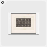 アートポストカード-Throwing the Ball
 - エドワード マイブリッジ Postcard.